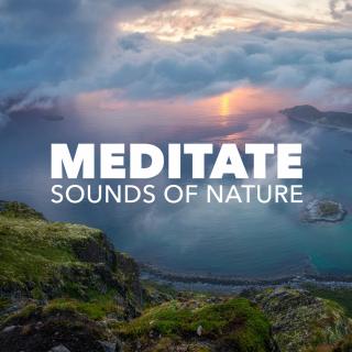 Artwork for Meditate (Original Mix)