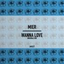 Artwork for Wanna Love (Original Mix)