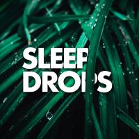 Artwork for Sleep Drops by Rain Sounds