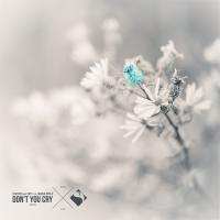 Artwork for Don't You Cry by Seven24