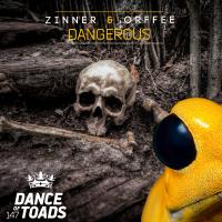 Artwork for Dangerous by Zinner