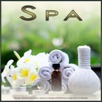 Artwork for Spa: Massage, Relaxing Healing Music, Hang Drum, Background Mindfulness and Spa Music for Relaxation by Hang Drum Music