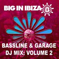 Artwork for Bassline & Garage: DJ Mix Vol 2 by Big In Ibiza DJs