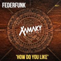 Artwork for How Do You Like by Federfunk