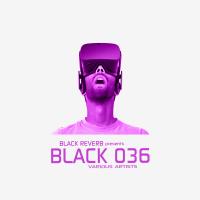 Artwork for Black 036 by Various Artists