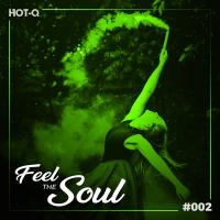 Artwork for Feel The Soul 002 by Various Artists
