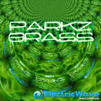 Artwork for Grass by ParkZ