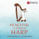 Artwork for Harpsichord Concerto in F Minor, BWV 1056: II. Largo (Arr. for Flute and Harp)