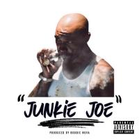 Artwork for Junkie Joe by Troy Ave