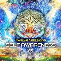 Artwork for Self Awareness by Twelve Sessions