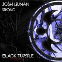 Artwork for Strong