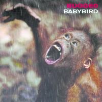 Artwork for Bugged by Babybird