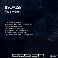 Artwork for Because by Paco Moreni