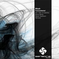 Artwork for Transcendental by Mizuh