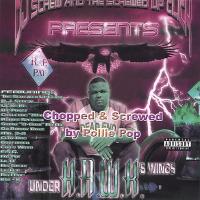 Artwork for Under HAWK's Wings by H.A.W.K.