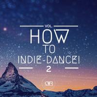 Artwork for How To Indie-Dance!, Vol. 2 by Various Artists