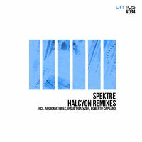 Artwork for Halcyon Remixes by Spektre