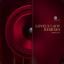 Artwork for Lovely Lady (Raditz Room & Adam Air Langga So Much Love Remix)