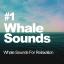 Artwork for Gentle River Sounds (Original Mix)