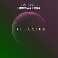 Artwork for Pinnacle Pines by Vast Vision