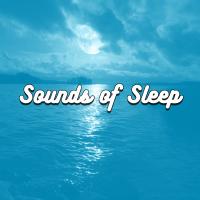 Artwork for Sounds of Sleep by Ocean Waves For Sleep