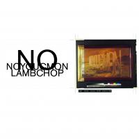 Artwork for No, You C'mon by Lambchop
