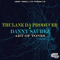 Artwork for Art Of Tones by Thulane Da Producer