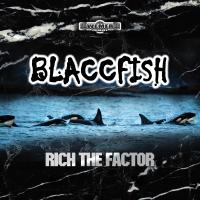 Artwork for Blaccfish by Rich The Factor