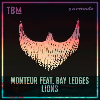 Artwork for Lions