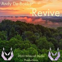 Artwork for Revive by Andy De Baeke