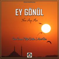 Artwork for Ey Gönül by Ersin Ersavas