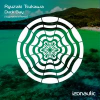 Artwork for Duck Bay (Stygmalibra Remix) by Ryuzaki Tsukawa