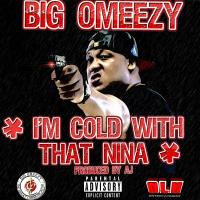 Artwork for I'm Cold With That Nina by Big Omeezy