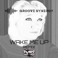 Artwork for Wake Me up feat. Shelly Nelson (Groove Synergy Remix) by Roney Jay