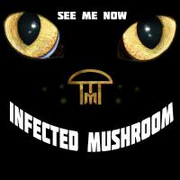 Artwork for See Me Now by Infected Mushroom