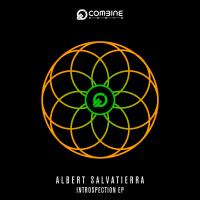 Artwork for Introspection EP by Albert Salvatierra