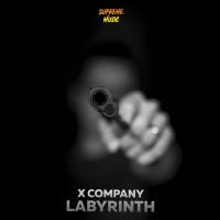 Artwork for Labyrinth by X Company