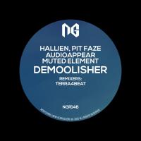 Artwork for Demoolisher by Hallien