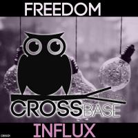 Artwork for Influx by Freedom