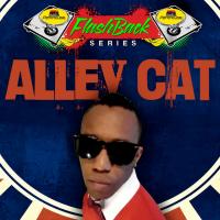 Alley Cat