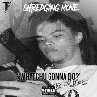 Artwork for Whatchu Gonna Do by Shredgang Mone