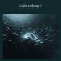 Artwork for Anjunadeep 05 by Jody Wisternoff