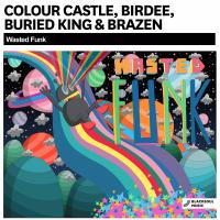 Artwork for Wasted Funk (Radio Edit) by Colour Castle