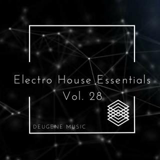 Artwork for Rollercoaster (Original Mix)
