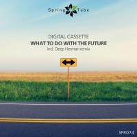 Artwork for What to Do with the Future by Digital Cassette