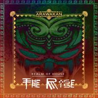 Artwork for The Rise by Realm of House