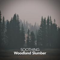 Artwork for Soothing Woodland Slumber by Nature Sounds For Sleep and Relaxation