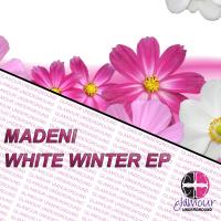 Artwork for White Winter EP by Madeni