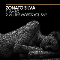 Artwork for Ambo / All The Words You Say by Zonato Silva