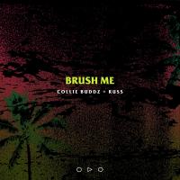 Artwork for Brush Me (with Russ) by Collie Buddz